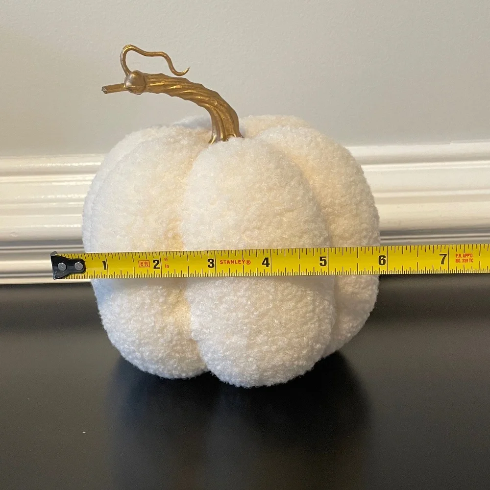 5 for $20: Target sherpa pumpkin
